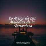 Lo Mejor de Las Melodías de la Naturaleza