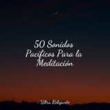 50 Sonidos Pacíficos Para la Meditación