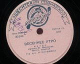 Весеннее утро