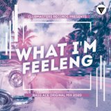 What I'm Feeling (Original Mix) [Clubmasters Records]