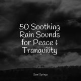 50 Soothing Rain Sounds for Peace & Tranquility