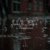 50 Pure Rainfall Sounds for Asleep & Mindfulness