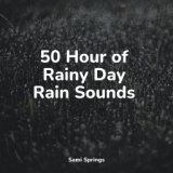 50 Hour of Rainy Day Rain Sounds