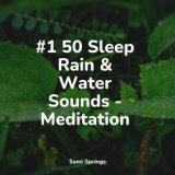 #1 50 Sleep Rain & Water Sounds - Meditation