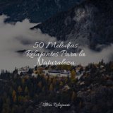 50 Melodías Relajantes Para la Naturaleza