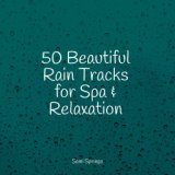 50 Loopable Rain Sounds for Meditation and Spa