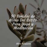50 Sonidos de Alivio Del Estrés Para Yoga y Meditación