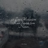 50 Zen Meditation Rain Sounds from Nature