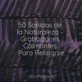 50 Sonidos de la Naturaleza - Grabaciones Calmantes Para Relajarse