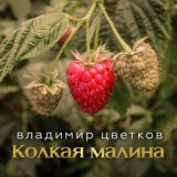 Колкая Малина