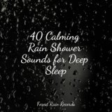 40 Calming Rain Shower Sounds for Deep Sleep