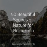 50 Beautiful Sounds of Nature for Relaxation