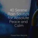 40 Serene Rain Sounds for Absolute Peace and Calm