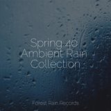 Spring 40 Ambient Rain Collection