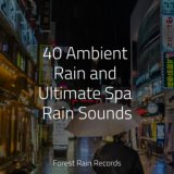 40 Ambient Rain and Ultimate Spa Rain Sounds