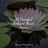 35 Peaceful Ambient Music Pieces