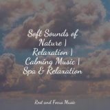 Soft Sounds of Nature | Relaxation | Calming Music | Spa & Relaxation