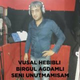 Vusal Hebibli