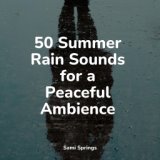 50 Summer Rain Sounds for a Peaceful Ambience