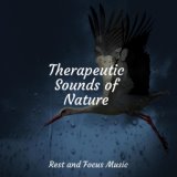 Therapeutic Sounds of Nature