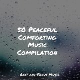 50 Peaceful Comforting Music Compilation