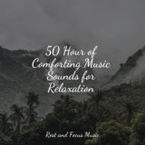 50 Hour of Comforting Music Sounds for Relaxation