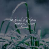 50 Sounds of Nature - Soothing Nature Sounds