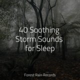 40 Soothing Storm Sounds for Sleep