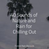 40 Sounds of Nature and Rain for Chilling Out