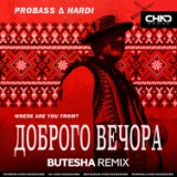 Доброго Вечора (Where Are You From?) (Butesha Radio Edit)