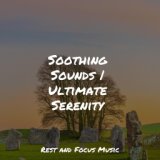 Soothing Sounds | Ultimate Serenity