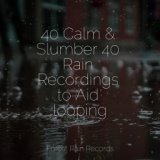 40 Calm & Slumber 40 Rain Recordings to Aid looping