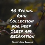 40 Spring Rain Collection for Deep Sleep and Relaxation