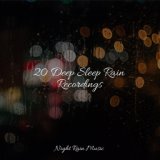 20 Deep Sleep Rain Recordings