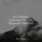 50 Melodías Calmantes Para la Relajación Chill Out