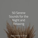 50 Serene Sounds for the Night and Relaxing