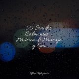 50 Sonidos Calmantes - Música de Masaje y Spa