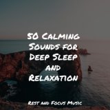 50 Calming Sounds for Deep Sleep and Relaxation