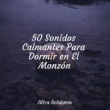 50 Sonidos Calmantes Para Dormir en El Monzón