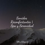 Sonidos Reconfortantes | Spa y Serenidad