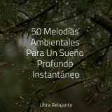 50 Melodías Ambientales Para Un Sueño Profundo Instantáneo