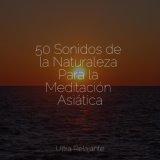 50 Sonidos de la Naturaleza Para la Meditación Asiática