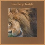 Lion Sleeps Tonight