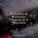 50 Sonidos de Meditación Ambiental de la Naturaleza