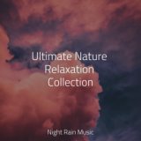 Ultimate Nature Relaxation Collection