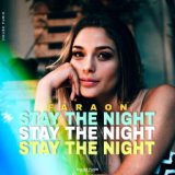 Stay The Night