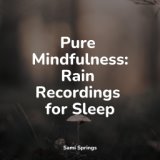 Pure Mindfulness: Rain Recordings for Sleep