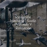 Relajación Inimitable | Sueño Profundo Y Relajación