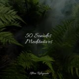 50 Sonidos Meditativos