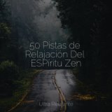 50 Pistas de Relajación Del ESPíritu Zen